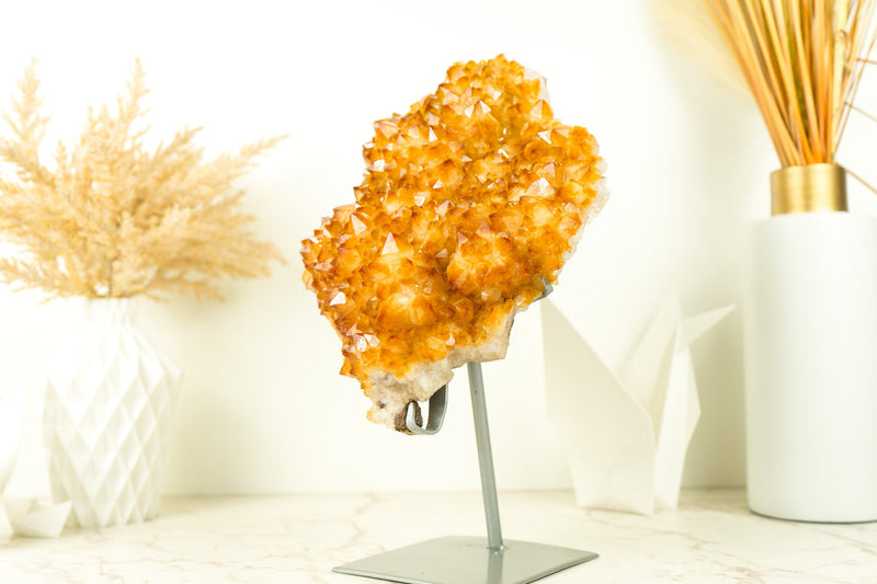 Citrine Crystal Flower Cluster with Rich Yellow Citrine Druzy on Display