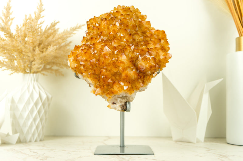 Citrine Crystal Flower Cluster with Rich Yellow Citrine Druzy on Display