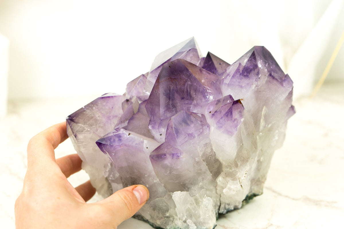 RARE Guerrero Phantom Amethyst Crystal orders Cluster Purple Quartz Gemmy High Quality