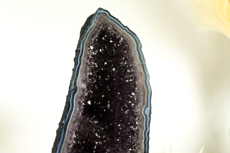 Natürliche blaue Spitzenachat-Geode mit funkelndem Lavendel-Amethyst, ein dekoratives Mittelstück