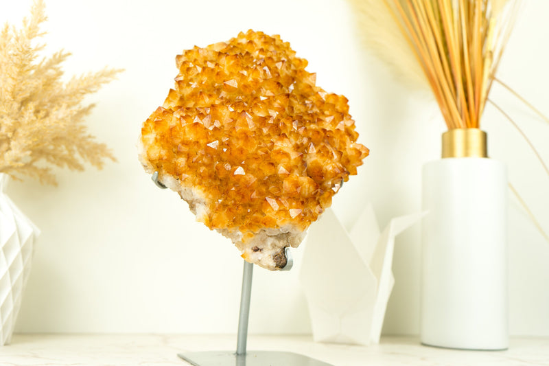 Citrine Crystal Flower Cluster with Rich Yellow Citrine Druzy on Display