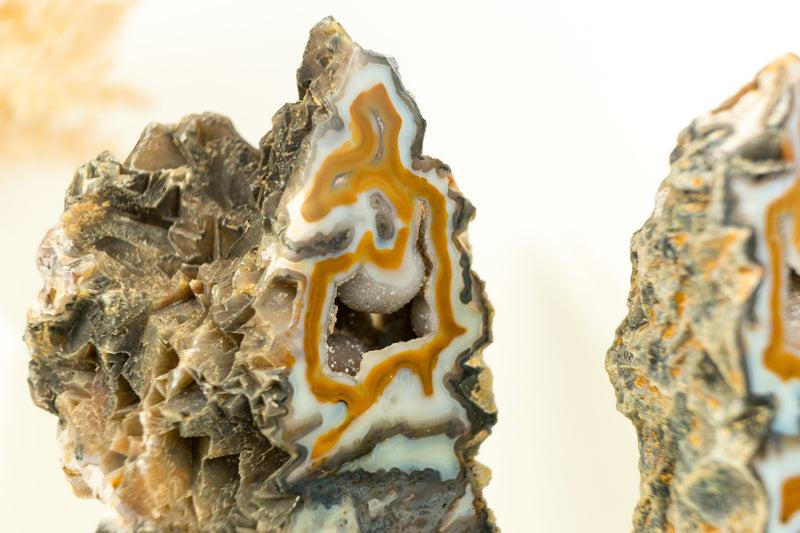 Rare Natural Crazy Lace Agate Geode with Colorful Laces and Galaxy Druzy, Soledade Agate