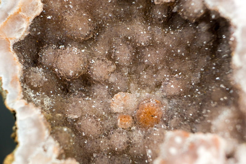 Rosa Amethyst-Geode in Galeriequalität mit galaktisch rotem und rosa Amethyst-Druzy, alle natürlichen Geoden-Schmetterlingsflügel